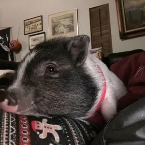 Meet your Posher, Andrea